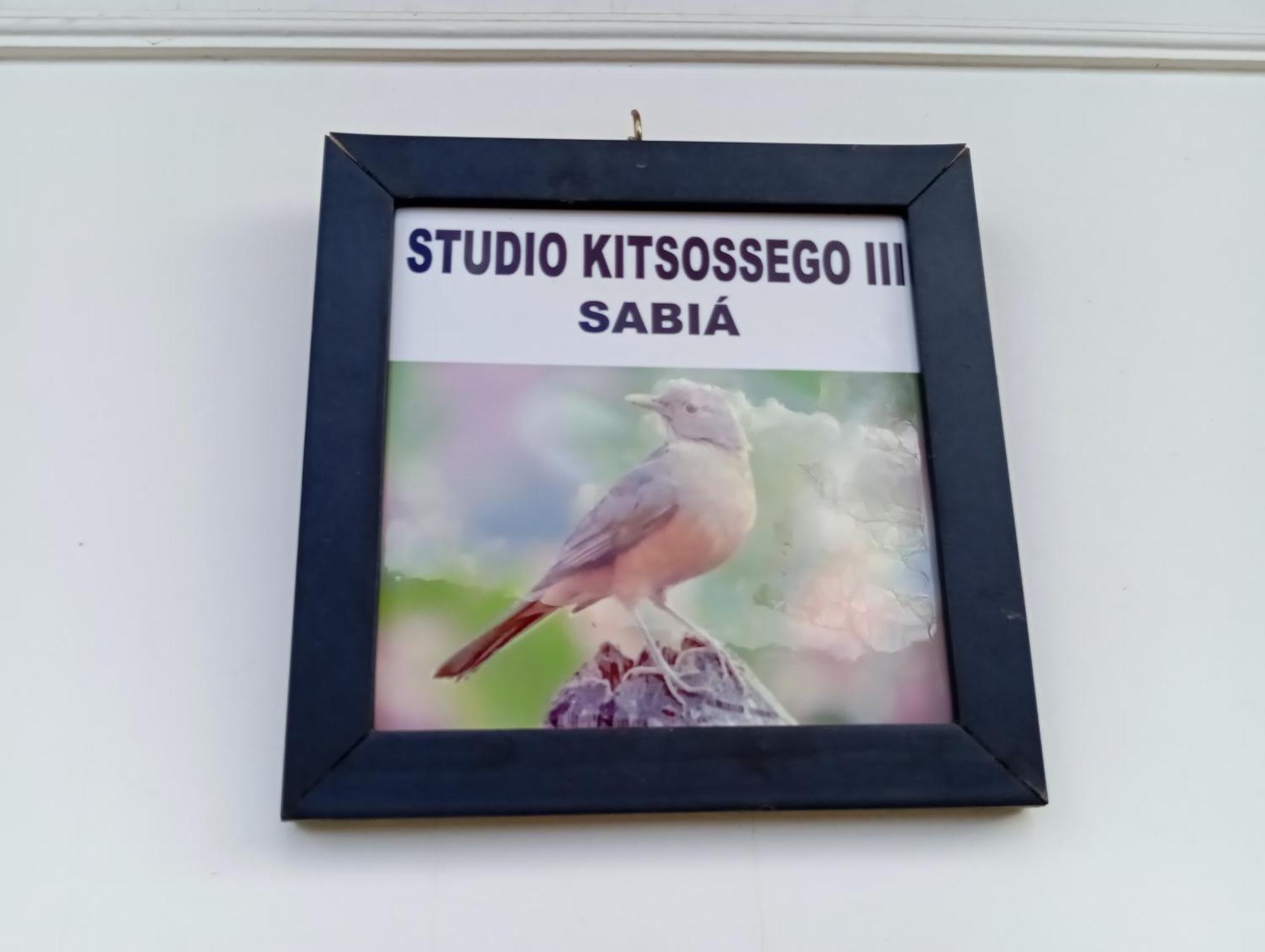 Studio Kitsossego 쿠리치바 외부 사진